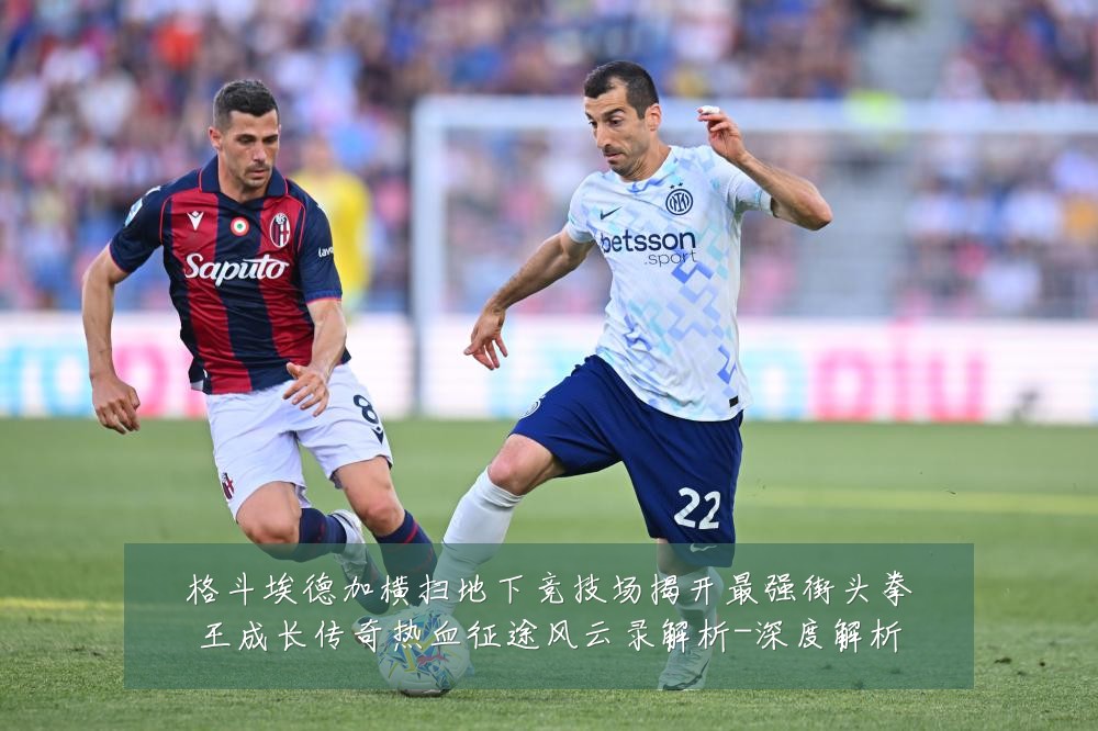 格斗埃德加横扫地下竞技场揭开最强街头拳王成长传奇热血征途风云录解析-深度解析